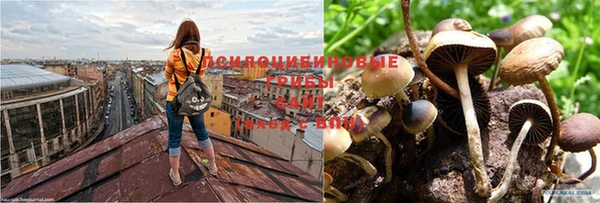 таблы Белокуриха